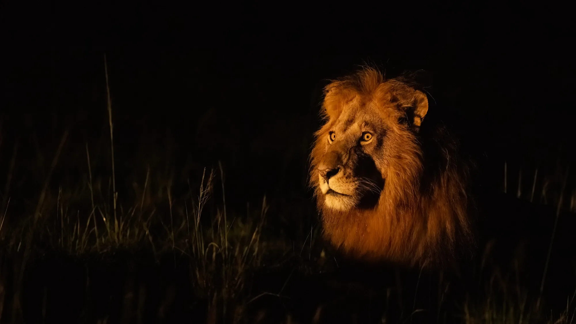 Safari landscape at sunset Masai Mara Kenya - small group luxury wildlife safari photography