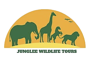 Junglee Wildlife Tours